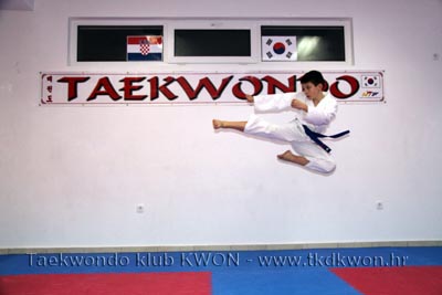 taekwondo kwon mario